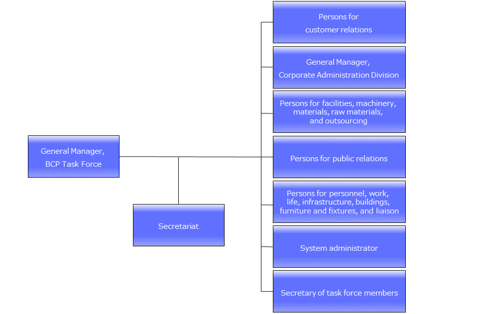 Organizational chart of the BCP task force